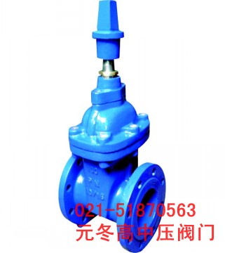 rvhx暗杆弹性座封闸阀